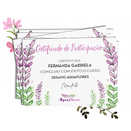 Foto certificado 01